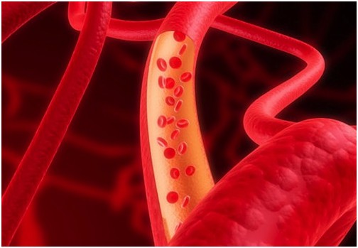 电子商务的白血球、红血球和血小板是什么?