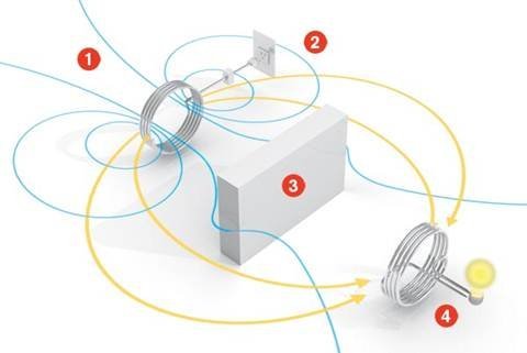 小柔性日记_和小雪在果园_小雪的故事_年幼的