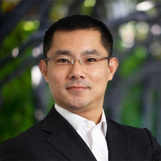 凯鹏华盈中国基金 董事