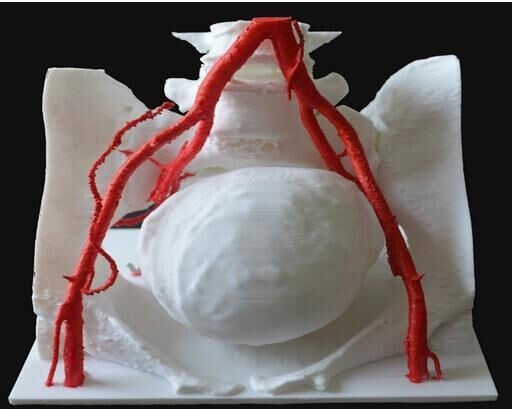 【3D医学打印】简介、官网,西安真我三维科技