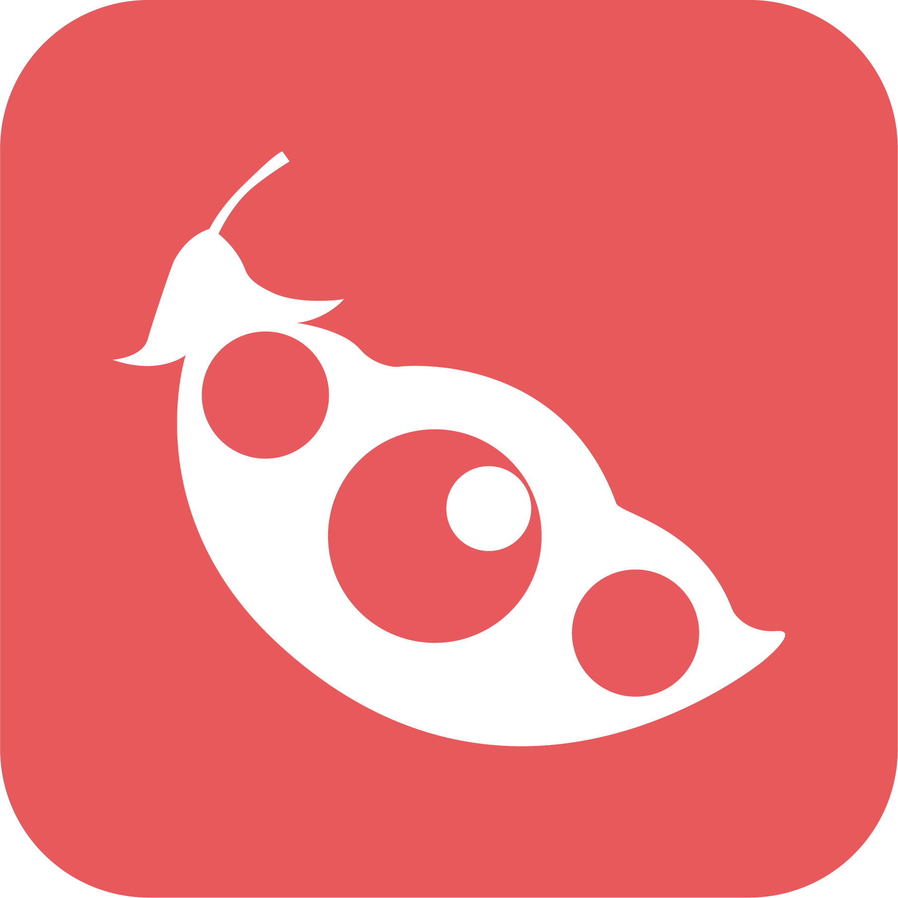 红豆角:实体店直播电商平台 - 初页