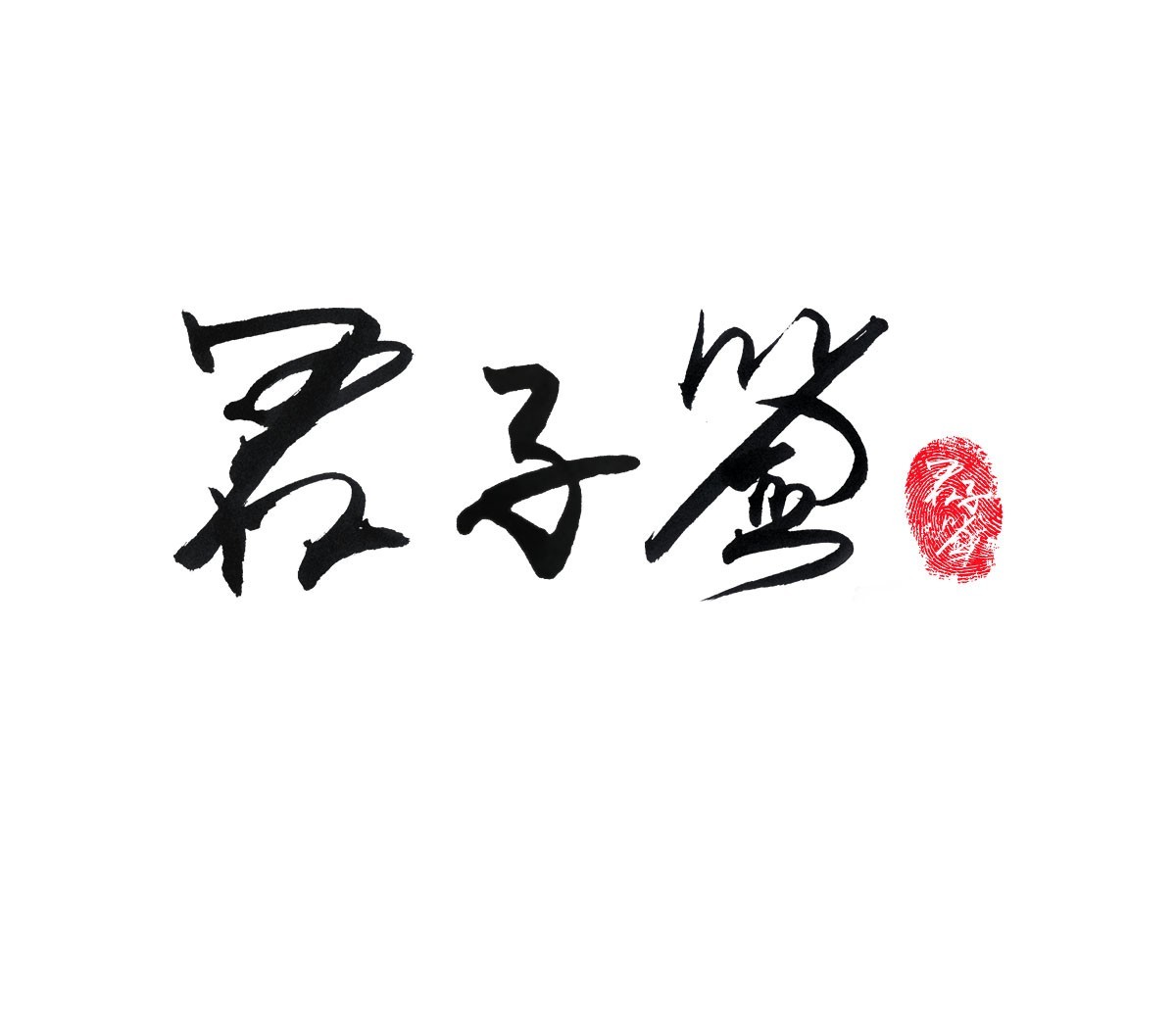 【艾丽丝】君子签电子签名平台产品总监 个人