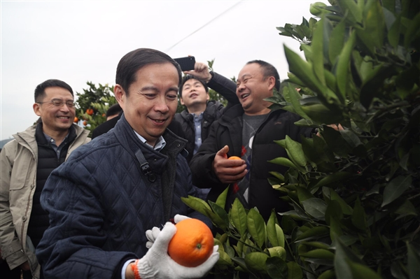图片 5.png