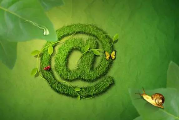 丁磊派6人养两万头猪,半头猪卖出10万,马云投